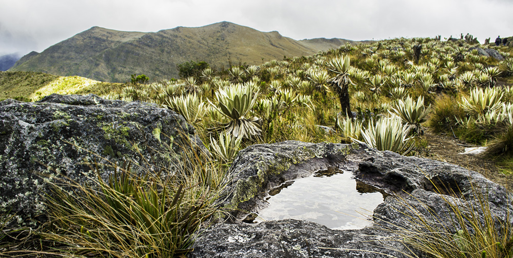 landscapes,of,the,sumapaz,paramo,in,colombia